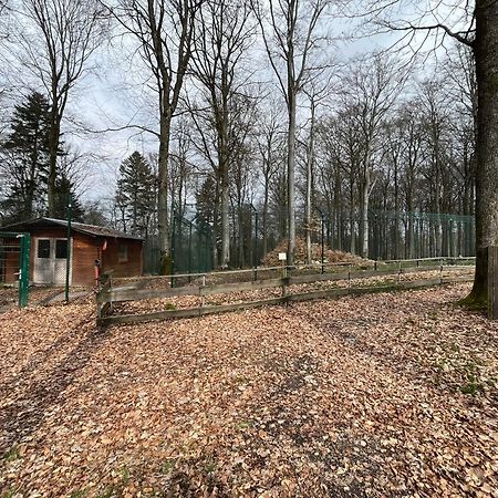 Hochwald Lodge 모르바흐 외부 사진