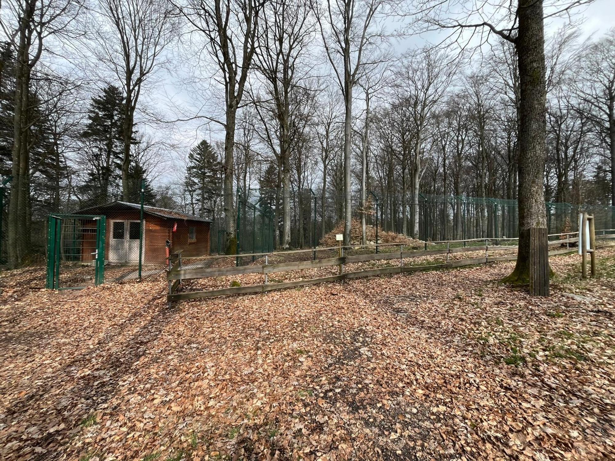 Hochwald Lodge 모르바흐 외부 사진